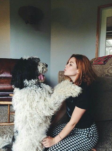 ametistaqueen's tweet photo. happy international kissing day #PetWeek https://t.co/Zer2iZyyIv