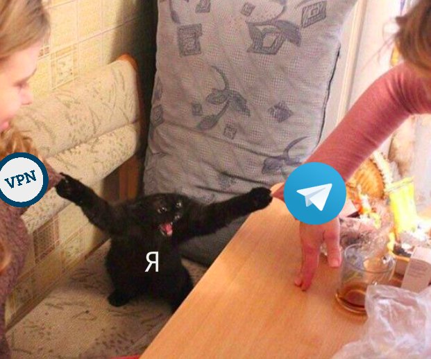 Я пришел сюда поесть вкуснях и заняться правовым нигилизмом. И как видишь, вкуснях я уже поел