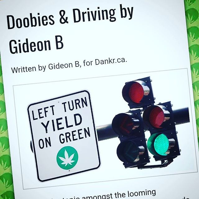 Dankr_Cannabis's tweet photo. What are your thoughts on the proposed Cannabis and Driving issues? Here's what our writer @giddygramz thought!
https://t.co/zg4jMRDWv3
@dankr.ca @giddygramz #driving #cannabis #medical #marijuana #article #blaze #highlife #tolerance #dankr #toronto … https://t.co/9TbSMH76LC https://t.co/wwwqM5lsfK