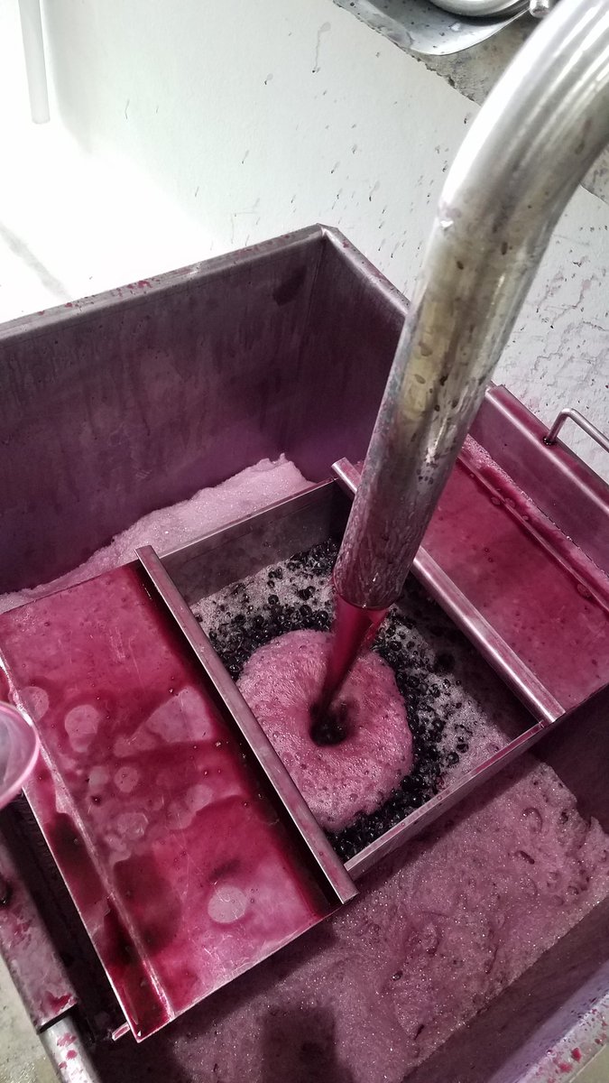 Sunal 2018!  Bellezaaa #levaduraindígena #nativeyeast #fermentación #keeponpumping #Luracatao