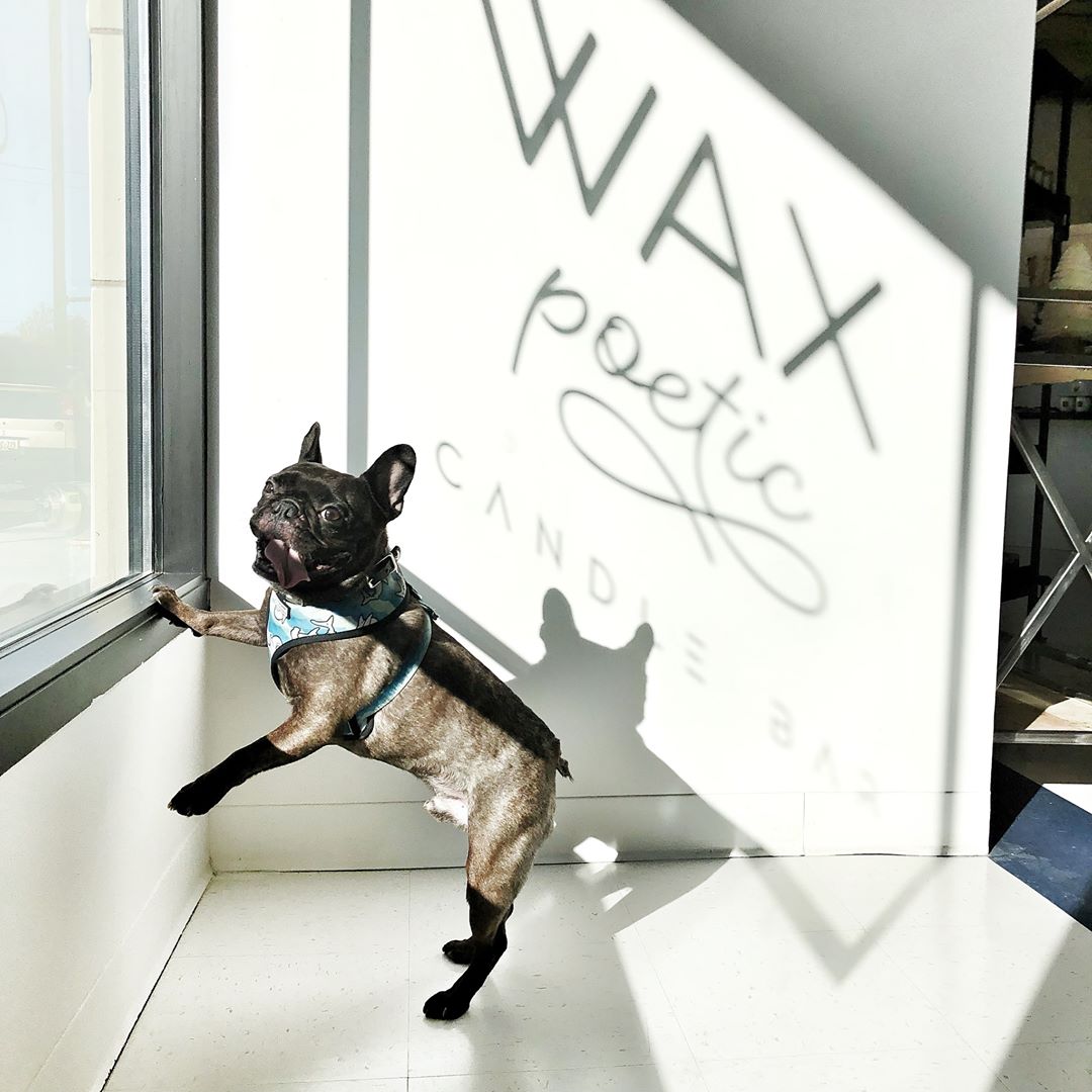 UptownGR tweet media