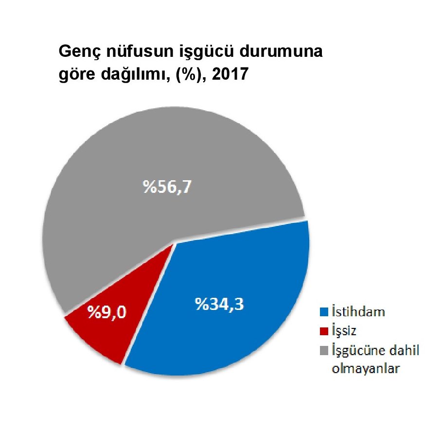 genchayatvakfi's tweet photo. TÜİK verilerine göre; gençlerin işgücüne katılma oranı 2017 yılında %43,3 iken istihdam oranı %34,3, işsizlik oranı ise %20,8 oldu. 
https://t.co/WZpmrdWSSC @tuikbulten #istihdam #gençnüfus #işgücü #işsizlik https://t.co/A7o4AO6SuF