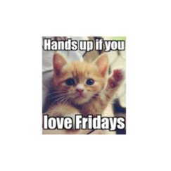 BigfootGlobal's tweet photo. Let’s see those hands✋✋✋
.
.
.
.
#tgif, #bigfootsays, #bigfootglobal, #weekend, #modernfurniture https://t.co/rIeV3aPYCv