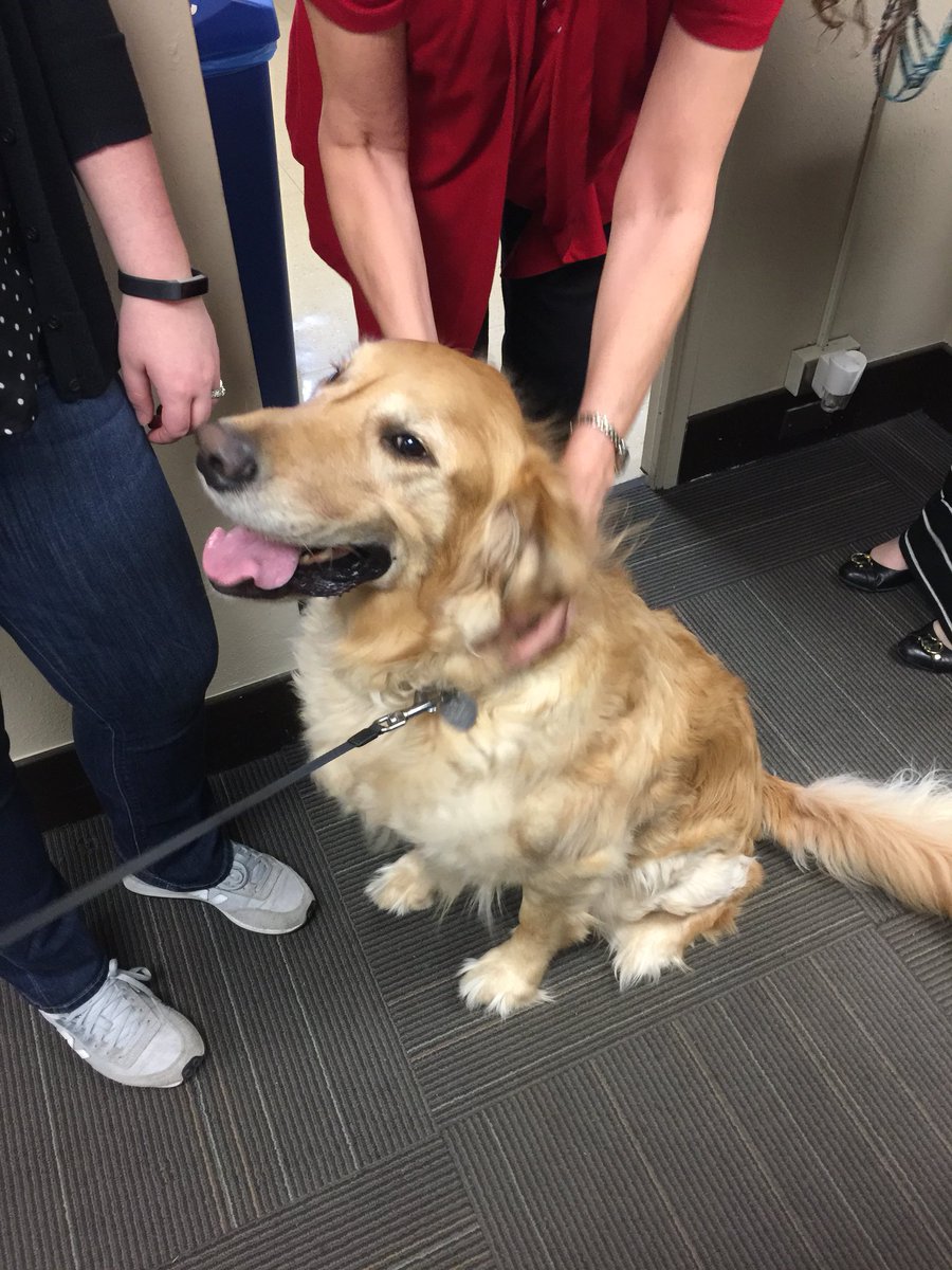 University of Oklahoma College of Education tweet media