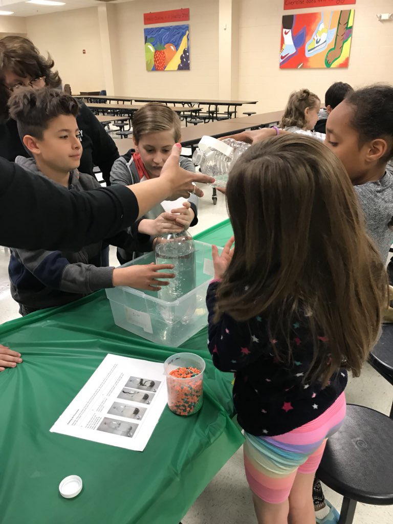 MrsGermano's tweet photo. Building an ecosystem today in STEM.  #keh4life https://t.co/lRf2uFyX72