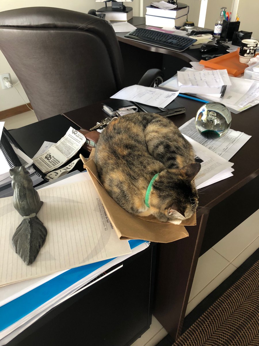 sachapper's tweet image. Pesos de papel!!