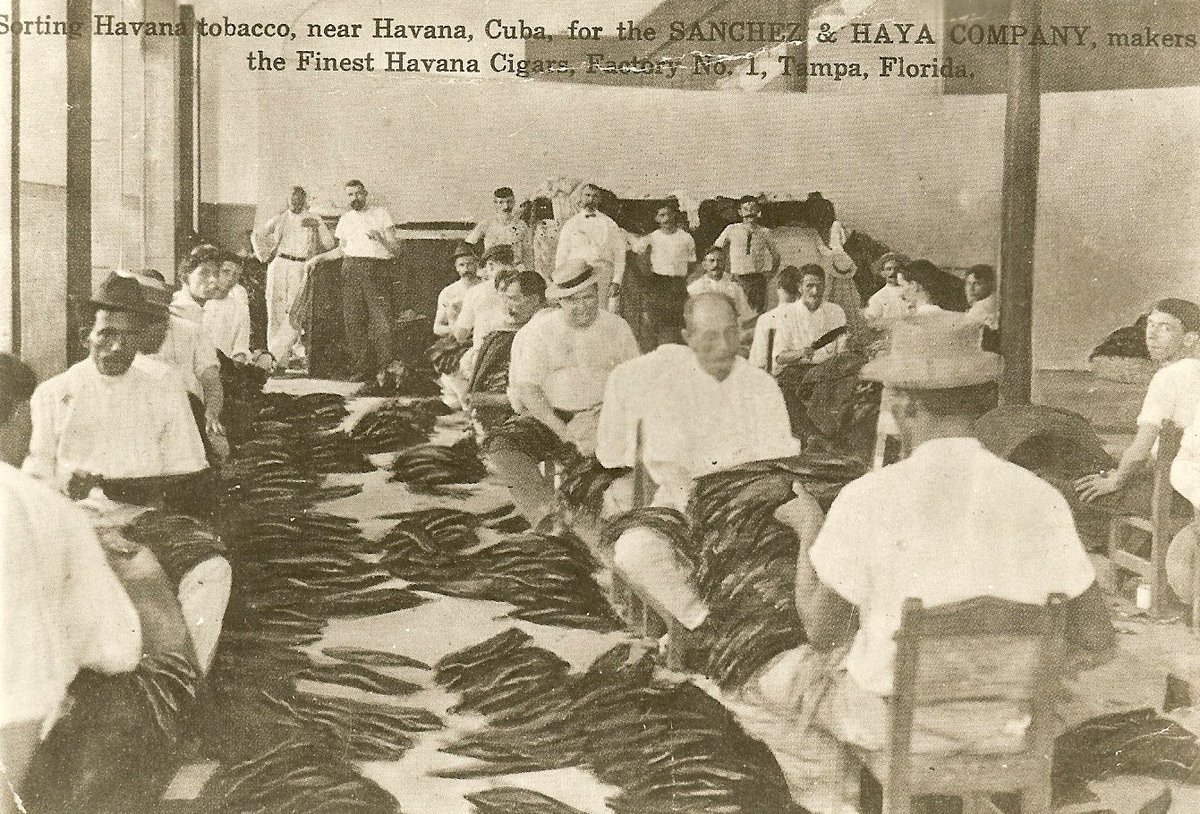 TampaBayHistory's tweet photo. #OTD in 1886, the first cigar was rolled in an Ybor City factory, at the Sanchez y Haya Company. https://t.co/NQOh8Jh4uj
