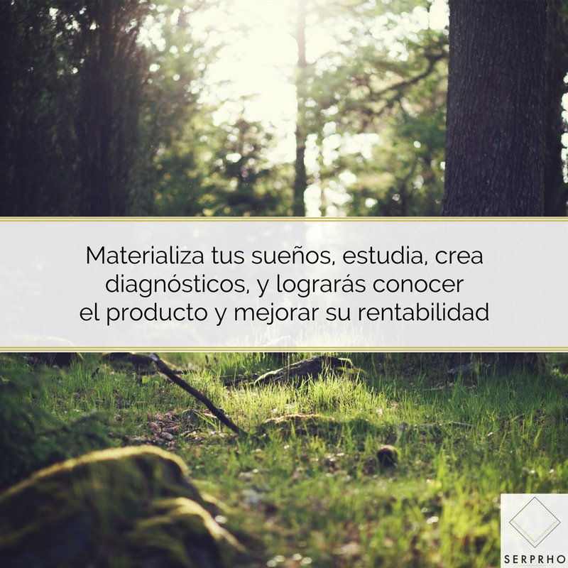 Materializa tus sueños, estudia, crea diagnósticos y lograrás conocer el producto y mejorar su rentabilidad #servicioespasion 

#rentabilidad #servicio #serprho #materializacion #crea