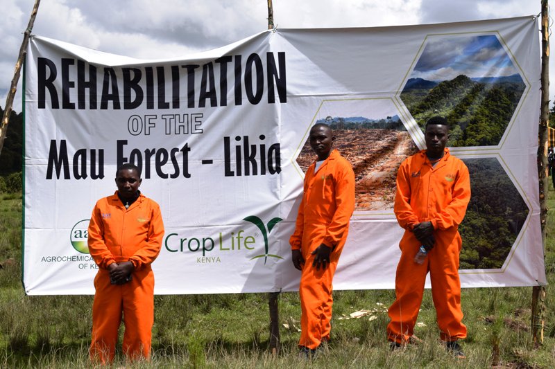 And the Day finally came!!!!!! The Agrochemicals Association of Kenya and its members planted trees in Mau Forest. The ocassion was graced by Chief Administrative Secretary (CAS) Hon. Mohamed Almi, EGH, MBE. #Treeforlife <a href="/waluwande/">Dominic WALUBENGO</a>