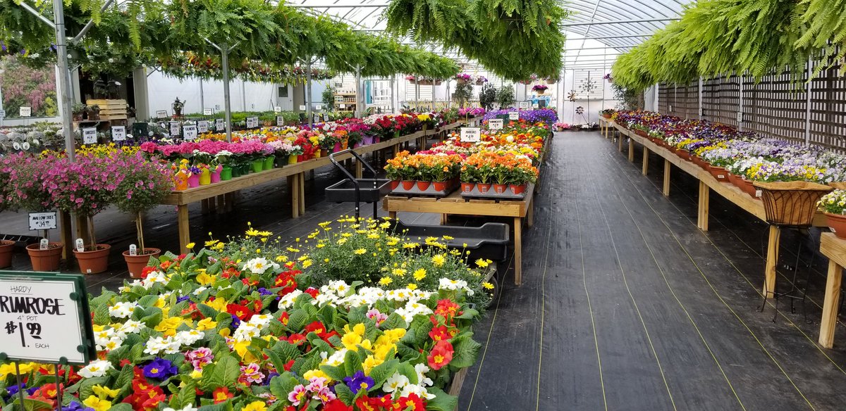 Sawyer Garden Center On Twitter Spring Has Arrived In Our