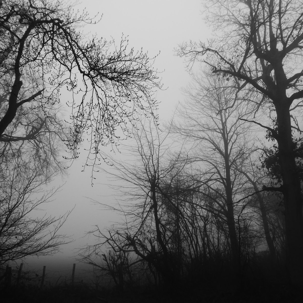 I came to my first turn, I had to turn right, at a right angle, on reaching this flooded track.