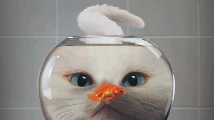 Intralinks's tweet image. Keep your eyes on the #M&amp;amp;A prize! #Intralinks has the "how to" on staying focused during PMI. bddy.me/2EJVJsT #Intralinks #mergersandacquisitions