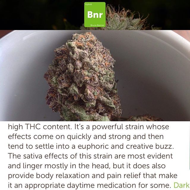 BuddOfCourse's tweet photo. Bruce Banner back! #weedfeedkiller #weed420feed #canadianstoners #ohcannabis #marynation #weedpalace #nbs #topshelflife #youknowitsdank #onlysmokethefinest #high365 #high_larry_us #stonerdays #stankyydankyy #naturalbornstoner #losganjales #crackingnugs #fueledbythc #iwillmar… https://t.co/H6Cn0qSCo8