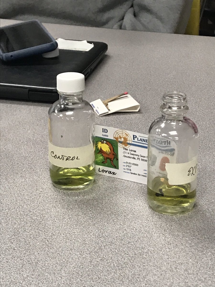 GraceHFHS's tweet photo. Acid rain was an interesting experiment but is harmful to the environment and can negatively effect marine life. @franklinlorax #apesair https://t.co/XcZ61Z9lXJ