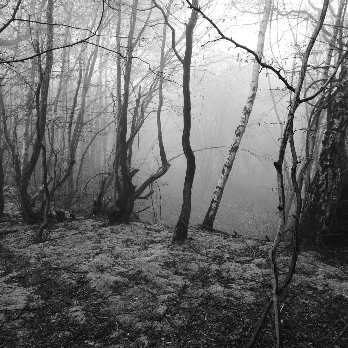 I came across a sudden steep hollow. It seemed unmarked by any horsehoe of close contour lines on the OS map, so this is when I first started to suspect that I'd lost my way.