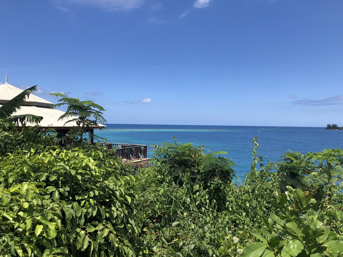 paigemcbridee's tweet photo. who’s coming to jamaica with me and dillon? 🤩 https://t.co/DyMJlBhCdL