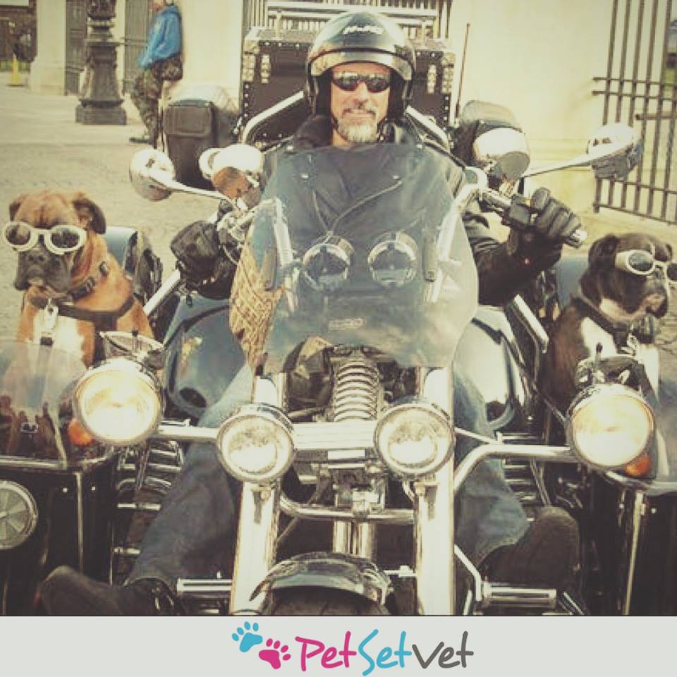 PetSetVet's tweet photo. The Hottest Dating App in the Town - PetSetVet
#coolpets #petlove #hottestdatingapp #hottestapp #hotpets #petlovers #petdating #muchloveforthem #petsetvet https://t.co/RACTjfi7sl