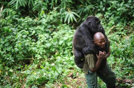 monde_biodi's tweet photo. 6 rangers ont été tués dans une embuscade au parc de Virunga en RDC, plus ancien parc national d'Afrique, réparti sur 7800 km2. 
Ils ont payé de leur vie leur bravoure et la protection de cette biodiversité inestimable. 
RIP à ces anonymes ... 🕊 https://t.co/nFJtg4e1kq