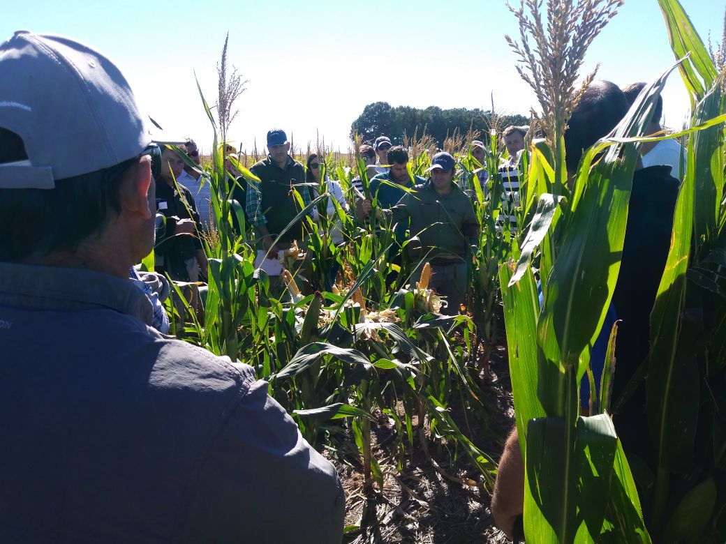 Dealers_Pioneer's tweet image. Gran jornada de intercambio de experiencias hoy en #CnelDorrego #MaízDeFronteras #Red