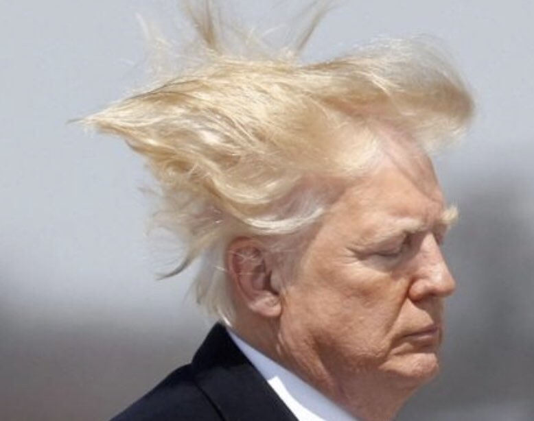 mandy_carte's tweet photo. Trump hair don’t care https://t.co/AaaK3OGgKn