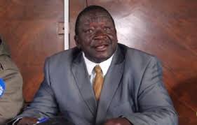 nickmangwana's tweet photo. “If Chamisa wants a debate, maybe he can engage the Zanu PF youth league that is his level. We can’t imagine the President taking time off serious bread and butter issues to respond to a goat that is scratching the walls from outside.”Cde Matemadanda https://t.co/JSPm3OTdHE