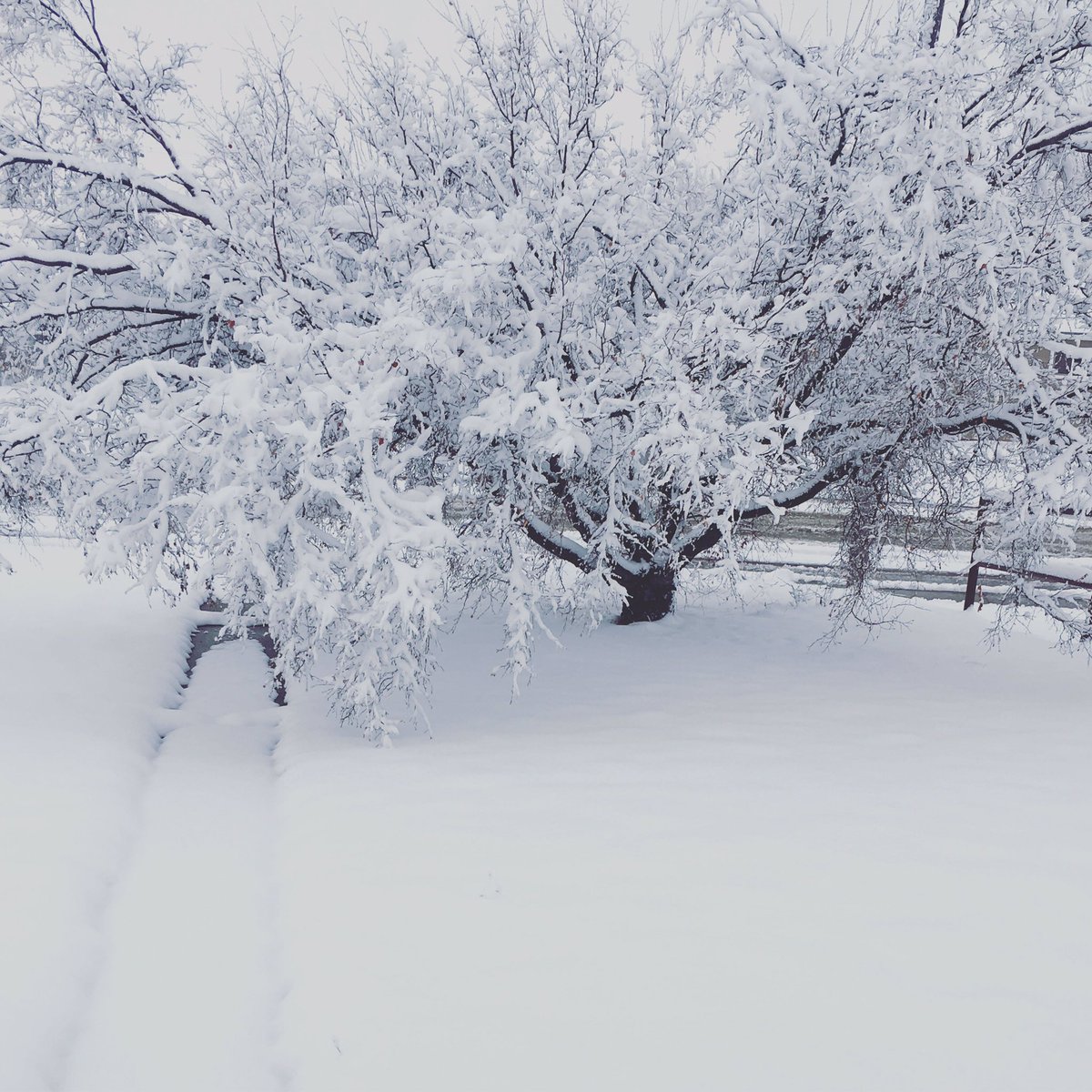 Friday the 13th and feeling serene #FridayThe13th