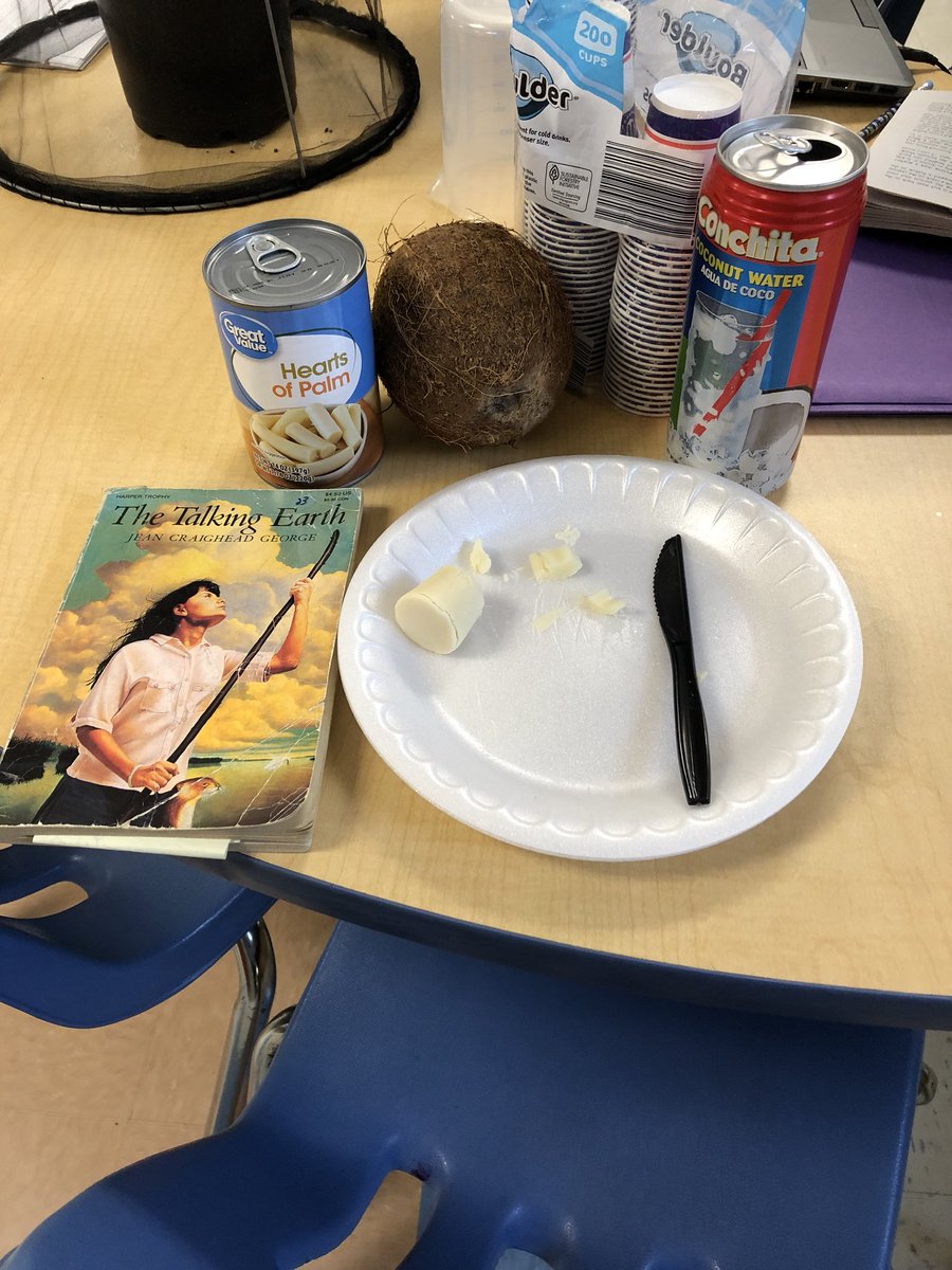 We are reading TALKING EARTH and the character Billie Wind is in the Everglades. She eats hearts of palm and drinks coconut water. Students had a chance to sample her food. #bringbookstolife @sunrisemediavcs