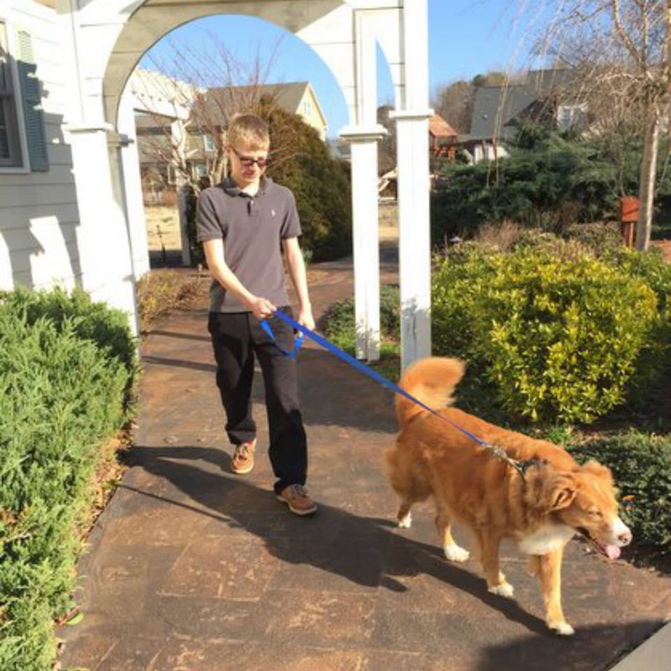 Is your dog really safe? Use one-hand to automatically connect to your pet's collar or harness metal D-ring. And, Nifti locks for safety! Get $10 off your Nifti SafeLatch Leash on sale today! zulily.com/p/black-nifti-…