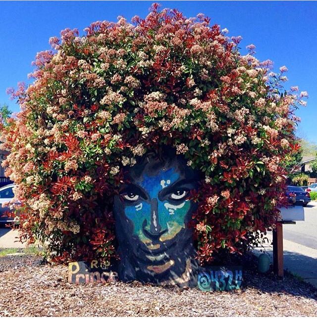 Eden City Living (@edencityliving) on Twitter photo 