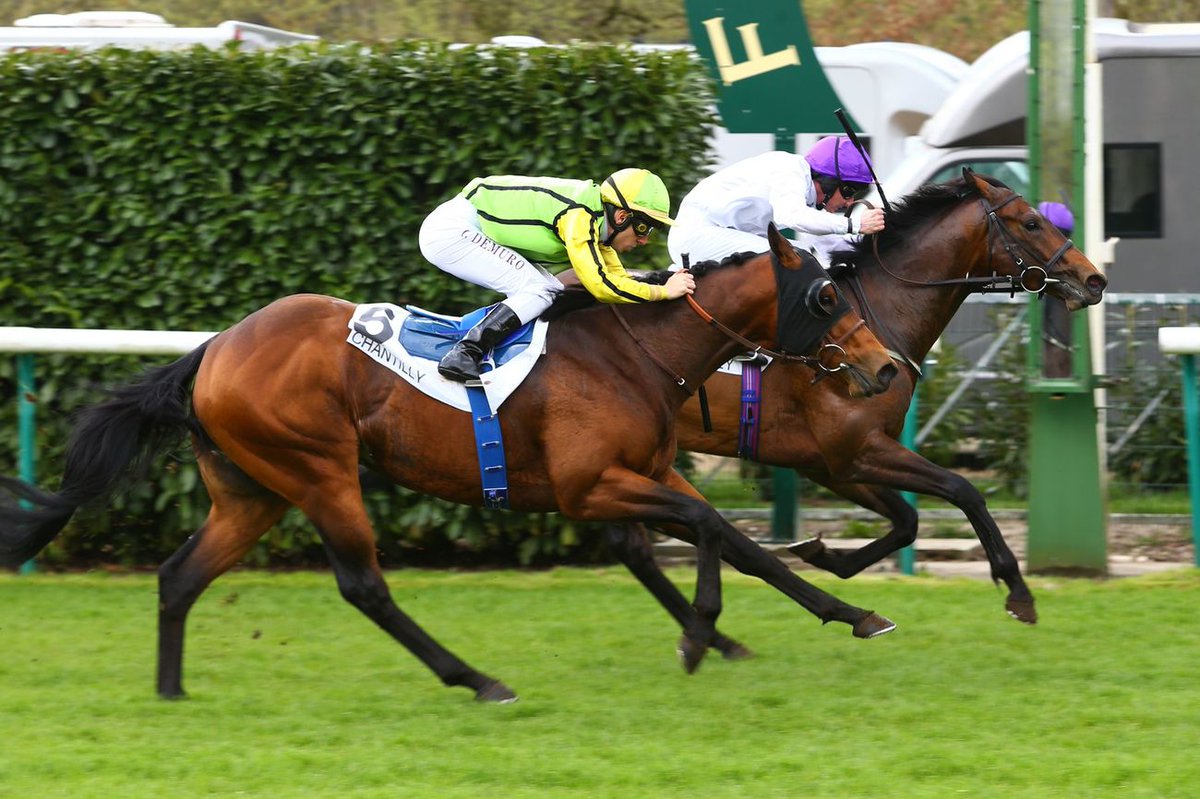 Jour_de_Galop's tweet photo. Sands of Mali (Panis) n’a rien lâché pour remporter le Prix Sigy (L). Il s'est montré très dur pour résister jusqu'au bout à l’attaque d’Alistair (Panis).
E. : S. Urizzi
P. : The Cool Silk P.
E. : RA. Fahey
2⃣ Alistair M/3 (Panis)
3⃣ Absolute City F/3 (Elusive City)
#galop https://t.co/US5ADsTz4l