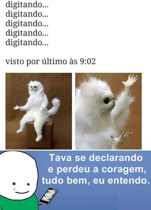 ttttkeheh's tweet photo. Esse é o melhor meme do @_saporra https://t.co/oETELWO5lo