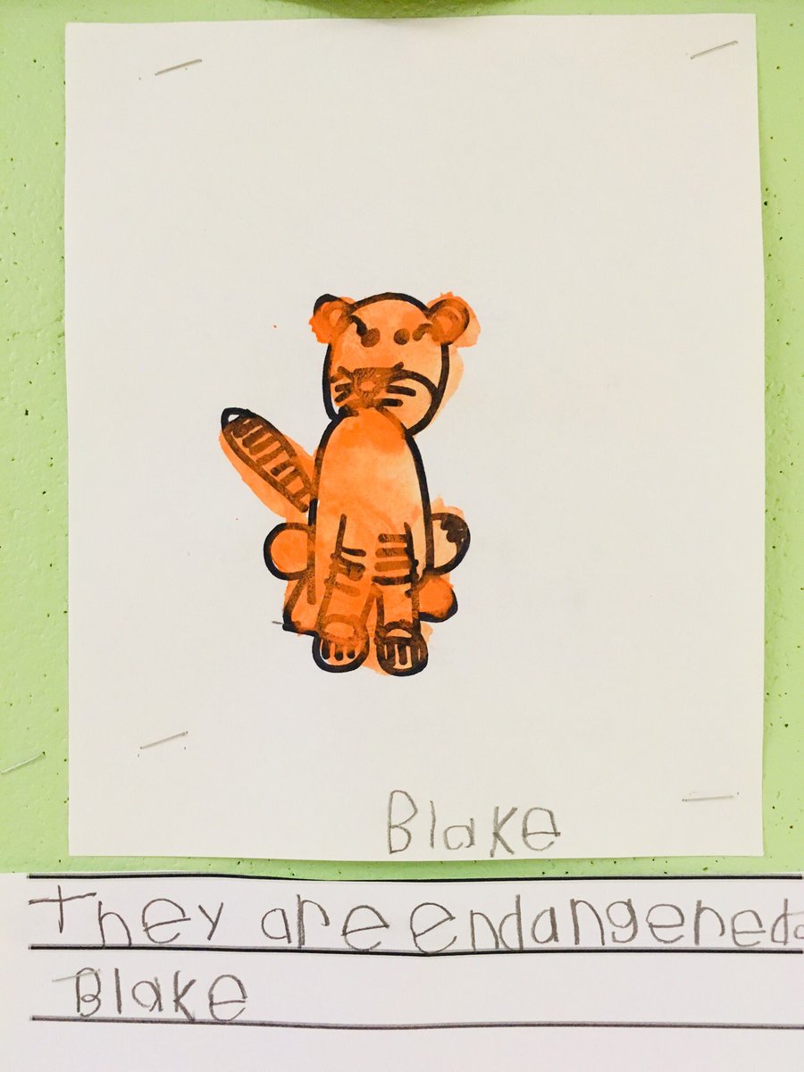 MrsNandMsF's tweet photo. It’s official!! We are adopting a tiger! 🐯Love the reasons why.. #deeplearning #pvnclearns https://t.co/r3FqEsQhPX
