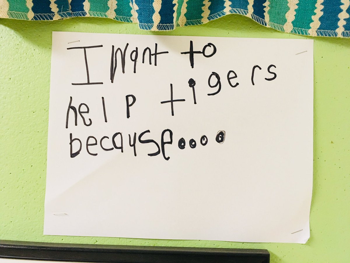 MrsNandMsF's tweet photo. It’s official!! We are adopting a tiger! 🐯Love the reasons why.. #deeplearning #pvnclearns https://t.co/r3FqEsQhPX