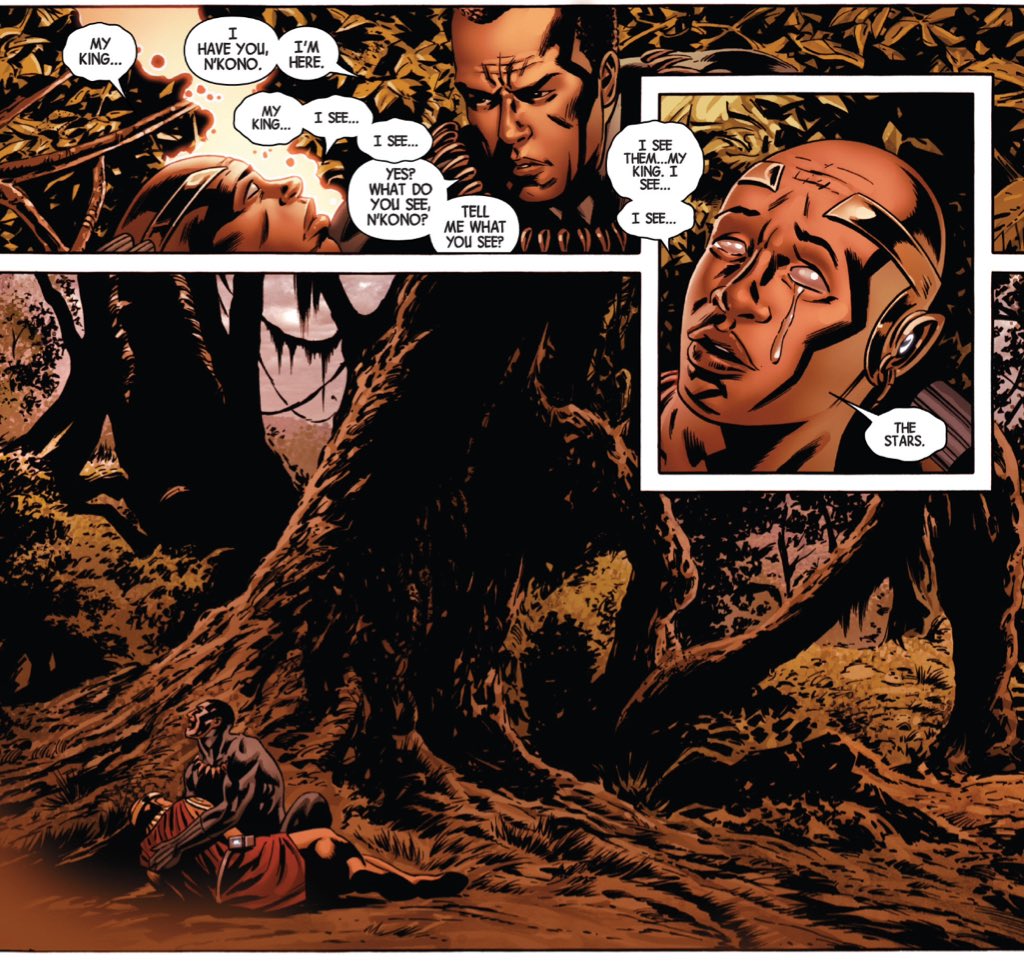 It should also be noted that there's and obvious symmetry between Black Panther's experiences in the first issue of "New Avengers" and the final issue of "Secret Wars."(New Avengers #1/Secret Wars #9.)