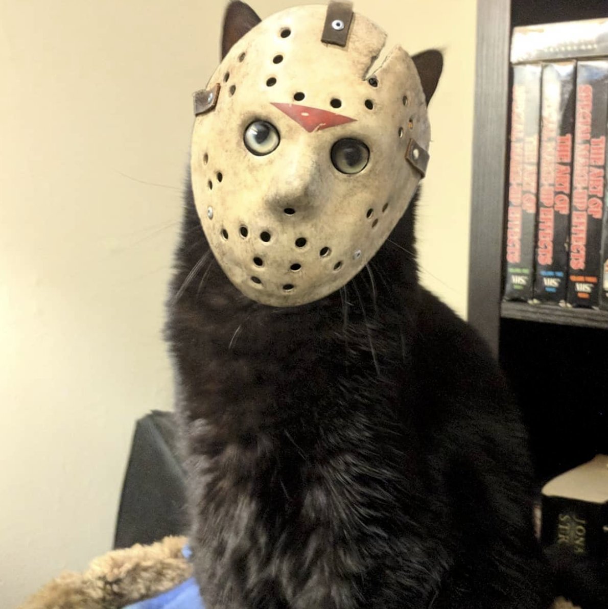 KaptanHindustan's tweet photo. Jason Purrhees wishes you a Happy Friday the 13th https://t.co/RGRQ01lGyI