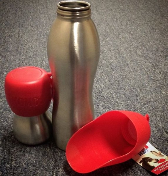 Pet Age Magazine tweet media