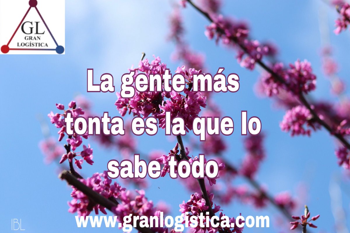 LogisticaGran's tweet photo. #Logistica #sistema #internacional #Trucking #Optimization #empresa #company #Transporte #tractor #remolque #empleado #Administration #quotes #frases #FraseDelDia #quoteoftheday #FrasesMatonas #frasesbonitas #VIERNES #felizviernes #Psicología https://t.co/dCR88MzLDc