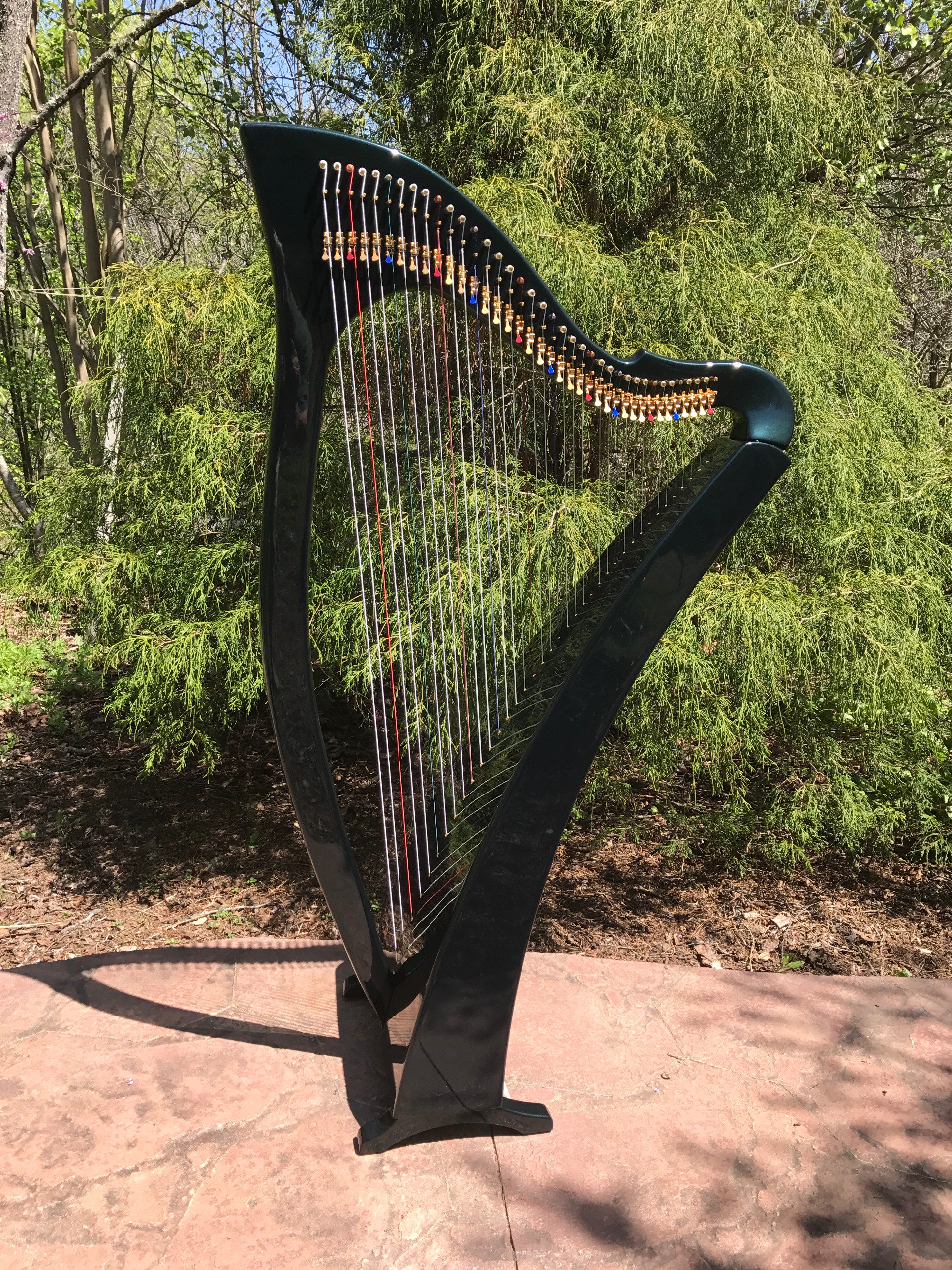Heartland Harps and Music NewWorldHarp X