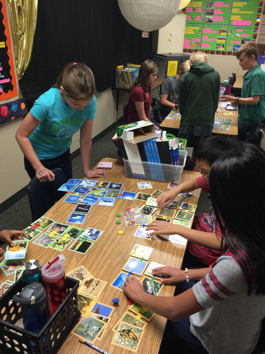 Saigling5th's tweet photo. Creating food webs in science https://t.co/QvDk6ttebg