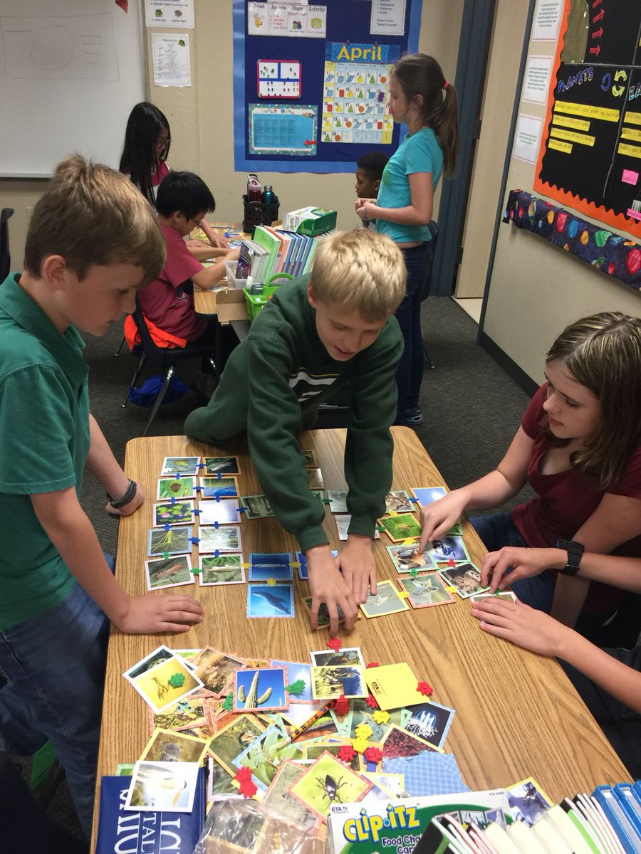 Saigling5th's tweet photo. Creating food webs in science https://t.co/QvDk6ttebg