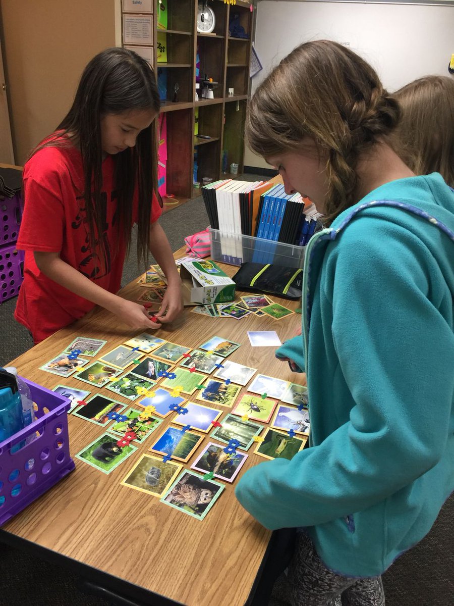Saigling5th's tweet photo. Creating food webs in science https://t.co/QvDk6ttebg