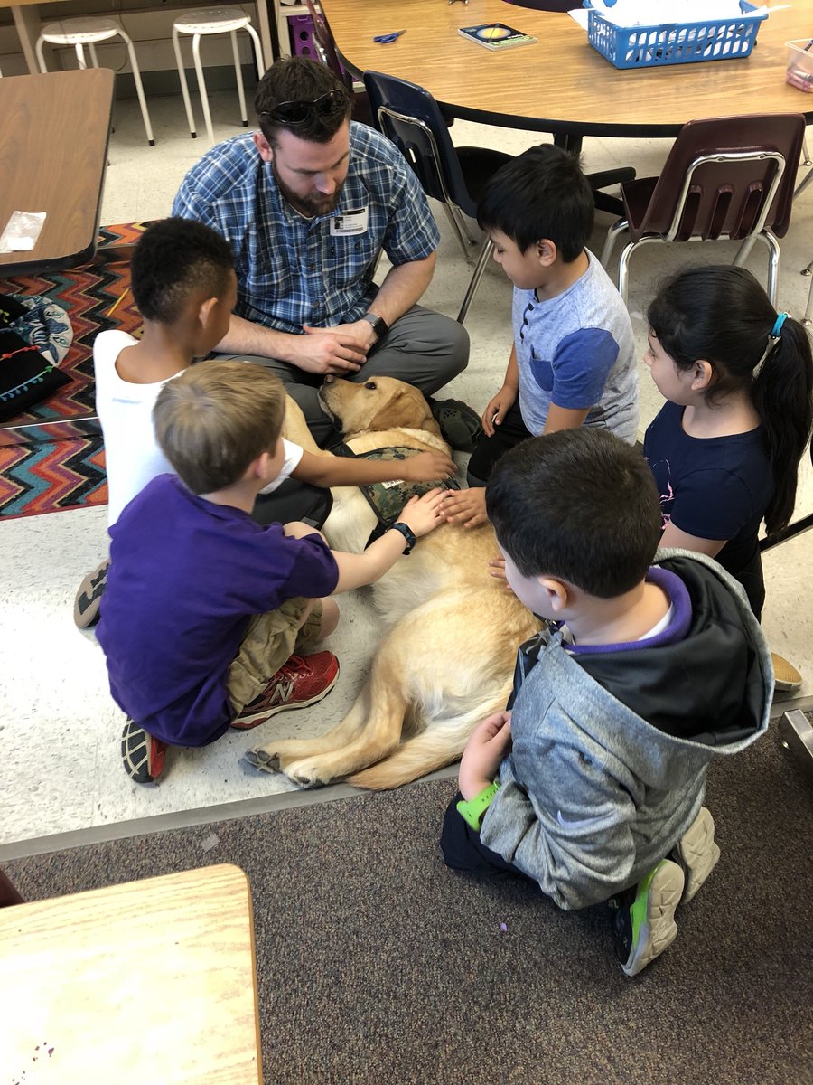 mslaurent2nd's tweet photo. We had some special visitors this morning! 🐶#fhesfoxes https://t.co/RLsmjvySVA
