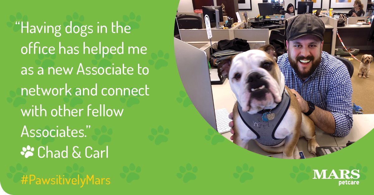 MarsPetcareUS's tweet photo. Why do #PetsWorkAtWork? They help us meet new people and connect. "I've found that having dogs in the office has helped me as a new Associate to network," says our Associate Chad. #PawsitivelyMars https://t.co/1tXG99uW3h