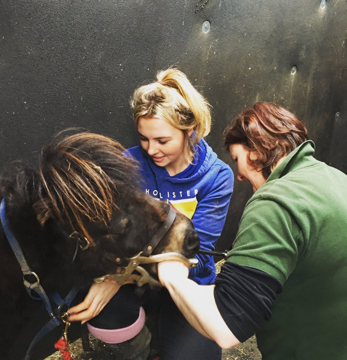 HanAlffriends's tweet photo. So today Alfie had the horse dentist! A massive thank you to @ShirleySeed for making his teeth feel 100% better again! It’s really important you have your horses teeth checked at least once a year ☺️ Alfie had a few sharp points which needed rasping down ☺️💓🐴 https://t.co/Tzk0L3LYV9