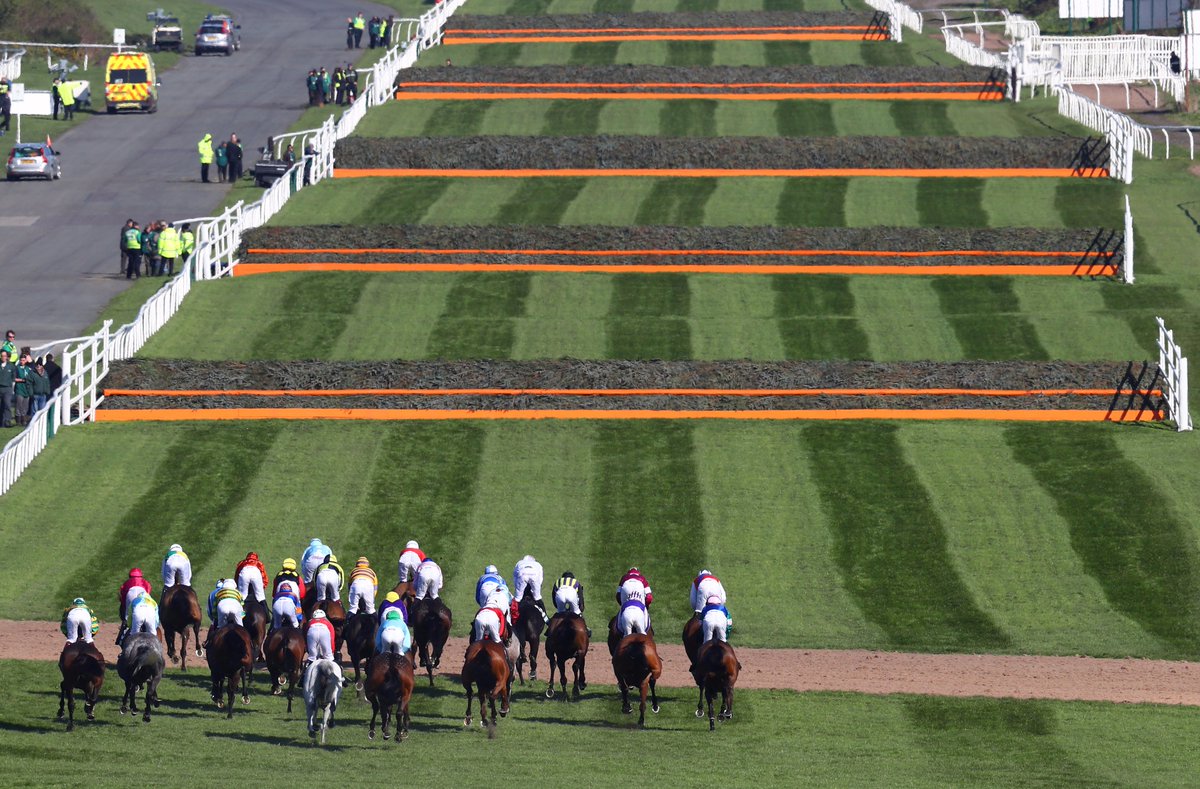 AtTheRaces's tweet photo. It's #GrandNational Day! https://t.co/Z2mUEymjh2