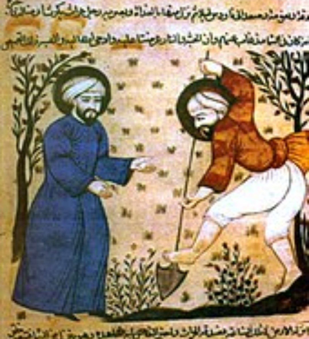 Muslims revolutionised agriculture. Orange- Arabic word (Naranj), Lemon is also Arabic (Laymun)+ many more. The Umayyads in Spain and Portugal (Al Burtuqal)- originally were from Syria wanted Spain to be like their homeland. Masters of irrigation, fertilisation, making sugar cane