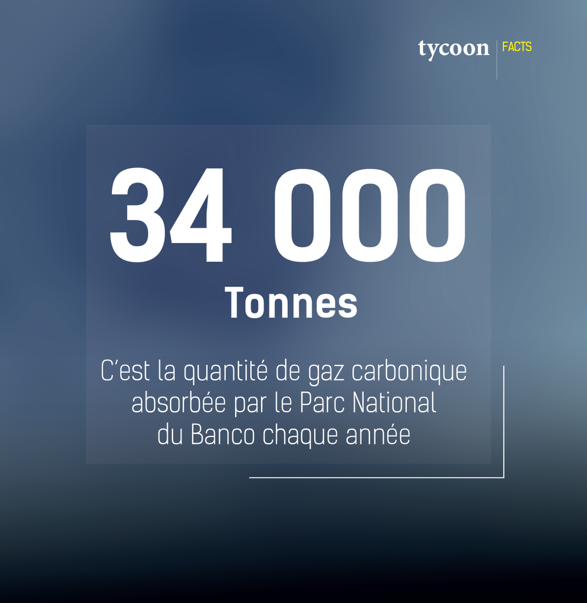 Tycoon Magazine tweet media