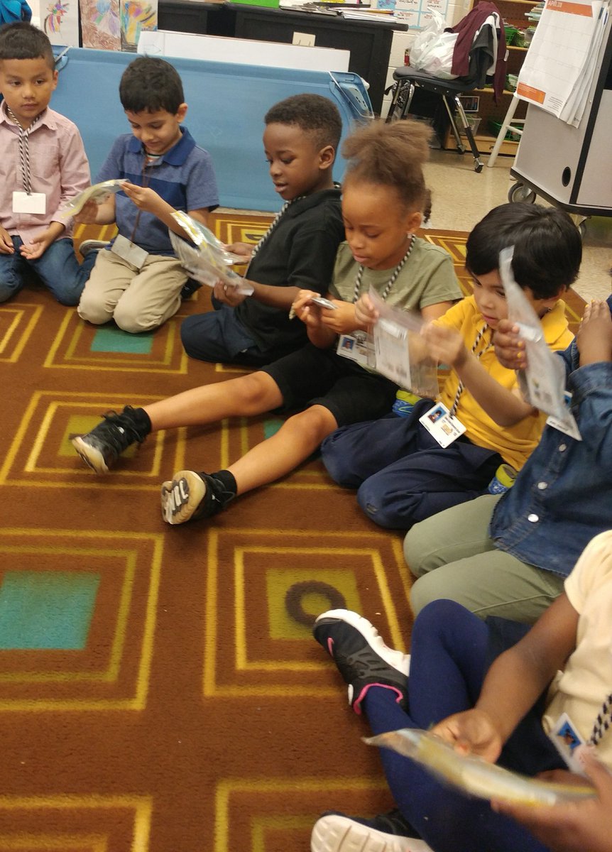 scienceatspeas's tweet image. GrPreK Bees Where do plants come from? Seeds of course! But not all seeds are alike. Observing seeds @SpeasGlobal #ExpModelDemo