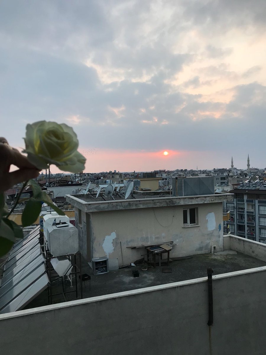 Cemile80914953's tweet photo. Bir gül yolladim sevgililerini en yücesine bir gül  yolladim en sevdigime bir gül  bir aşk bir kocaman   sevgi yüreğimde ne kadar gül varsa dua varsa  hepsini yanlız   sana yolladim  allah'ım    #hayırlıkandiller https://t.co/dz4lqc5kwn