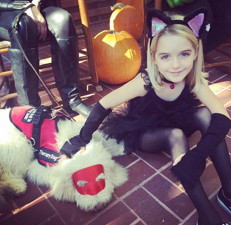 jimhrogers's tweet photo. e por fim fotinhas do Tony, da Beijinho e do Ruffles #PetWeek #slsheroes https://t.co/1ZlXD4OGQv